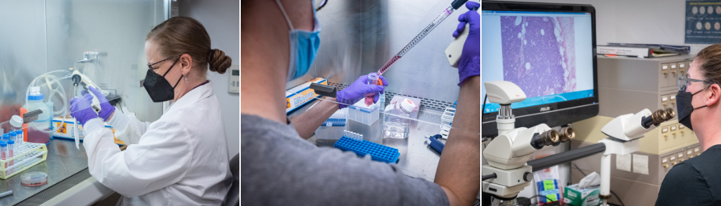 A tryptic of images showing labe equipment and researchers using them